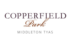 copperfield-logo-head