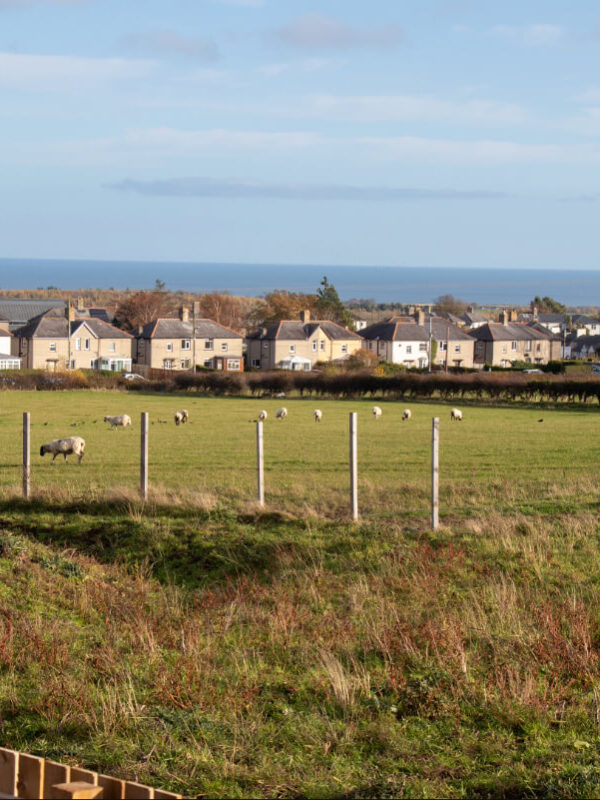 Alnwick Northumberland Town Coast Lifestyle