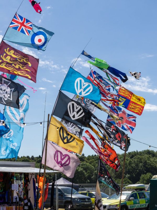 Flag collection Mighty Dub Fest Northumberland 2026